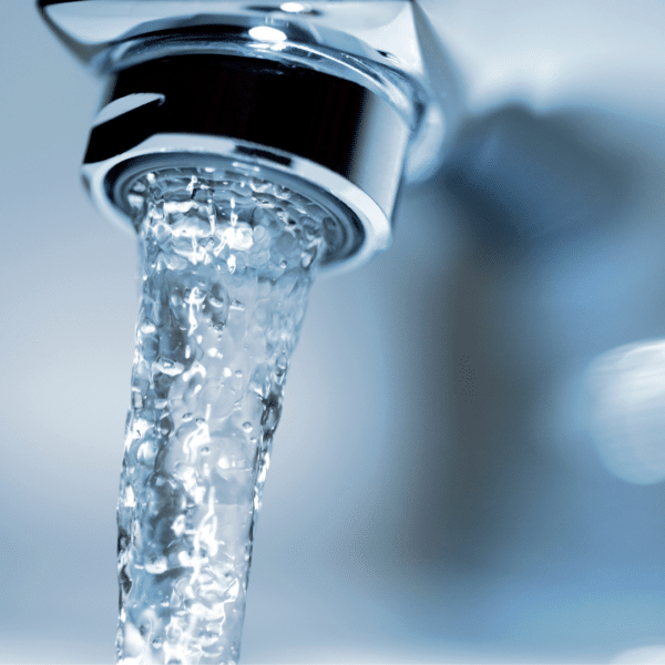 bilan qualité eau potable