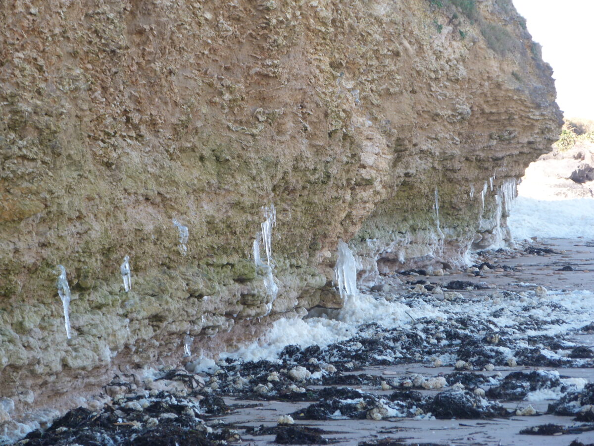 Falaise du Cap Romain Saint Aubin-sur-Mer à Bernières-sur-Mer