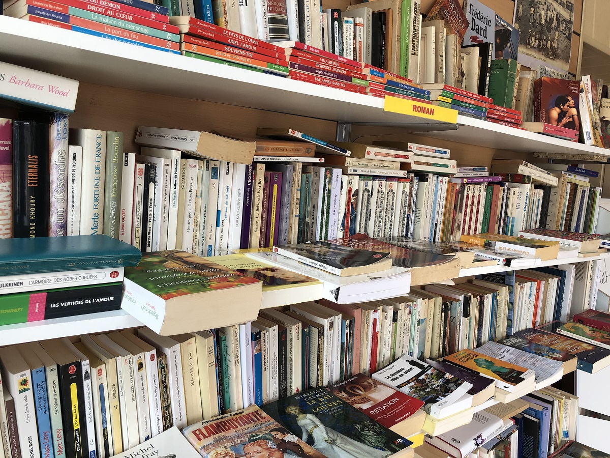 LIVRES-ROMANS-BANDES-DESSINEES-POLARS-LECTURE-ENVIE-DE-CHINER-BIBLIOTHEQUE-D-ETE-BERNIERES-SUR-MER-CREDIT-MATHILDE-LELANDAIS