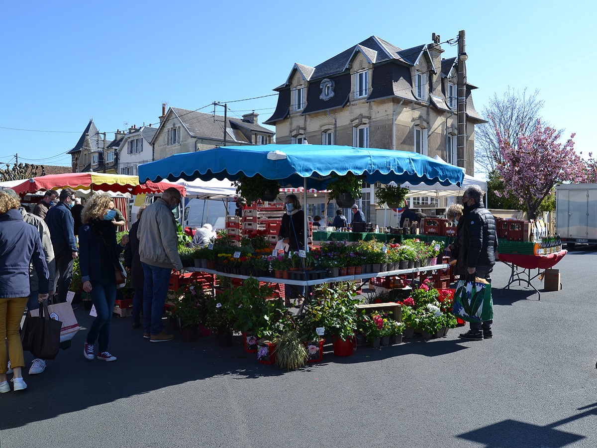 Marché de Saint-Aubin-Sur-mer- crédit Brigitte Haize (8)